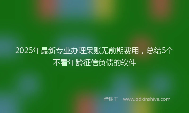 2025年最新专业办理呆账无前期费用，总结5个不看年龄征信负债的软件