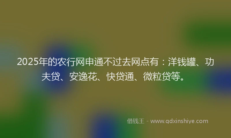 2025年的农行网申通不过去网点有：洋钱罐、功夫贷、安逸花、快贷通、微粒贷等。