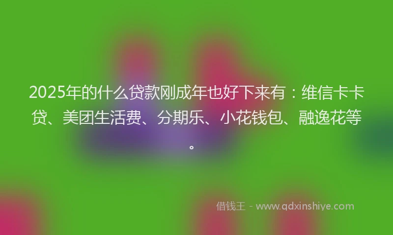 2025年的什么贷款刚成年也好下来有：维信卡卡贷、美团生活费、分期乐、小花钱包、融逸花等。