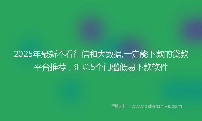2025年最新不看征信和大数据,一定能下款的贷款平台推荐，汇总5个门槛低易下款软件