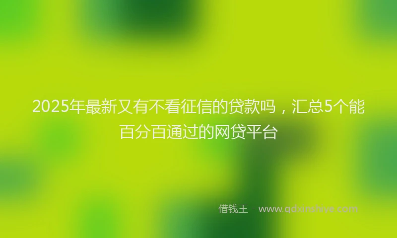 2025年最新又有不看征信的贷款吗，汇总5个能百分百通过的网贷平台