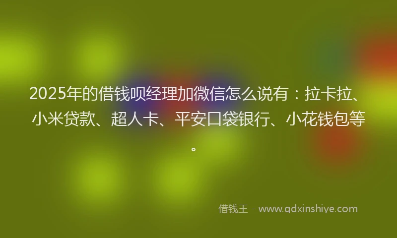 2025年的借钱呗经理加微信怎么说有：拉卡拉、小米贷款、超人卡、平安口袋银行、小花钱包等。
