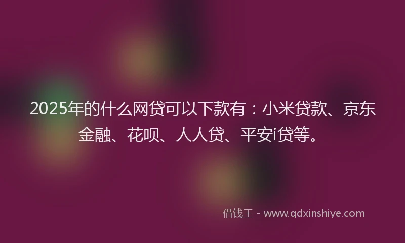 2025年的什么网贷可以下款有：小米贷款、京东金融、花呗、人人贷、平安i贷等。