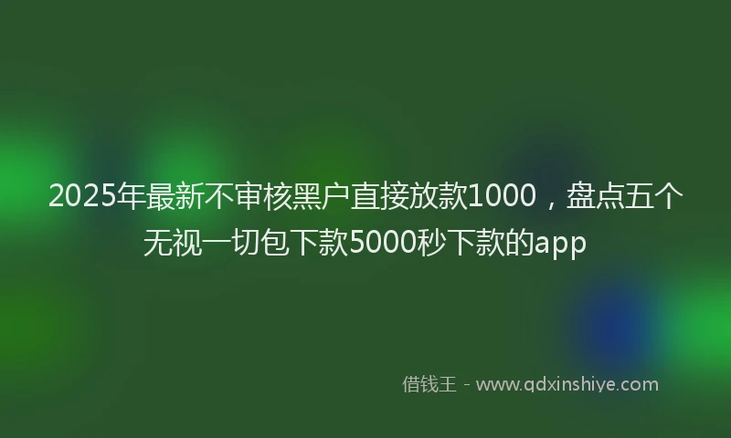 2025年最新不审核黑户直接放款1000，盘点五个无视一切包下款5000秒下款的app