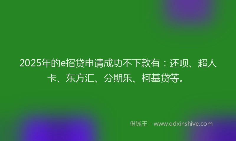 2025年的e招贷申请成功不下款有：还呗、超人卡、东方汇、分期乐、柯基贷等。