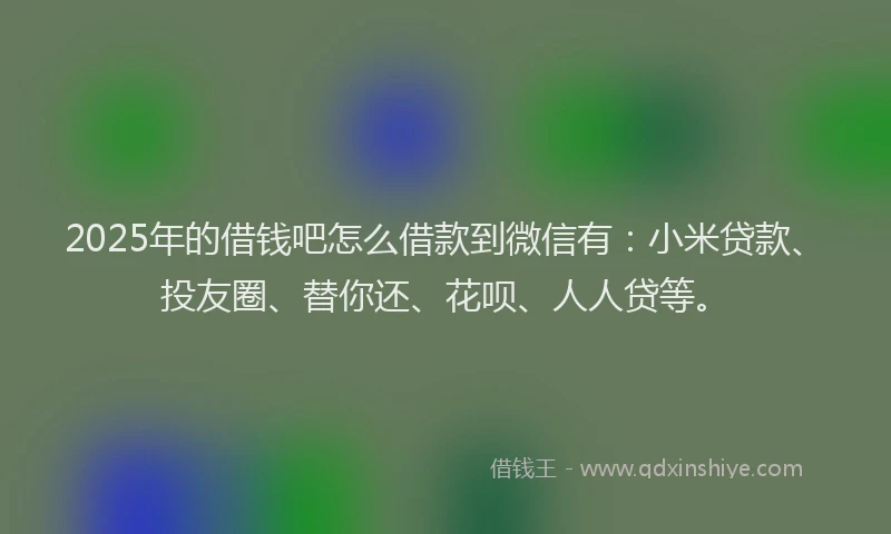 2025年的借钱吧怎么借款到微信有：小米贷款、投友圈、替你还、花呗、人人贷等。