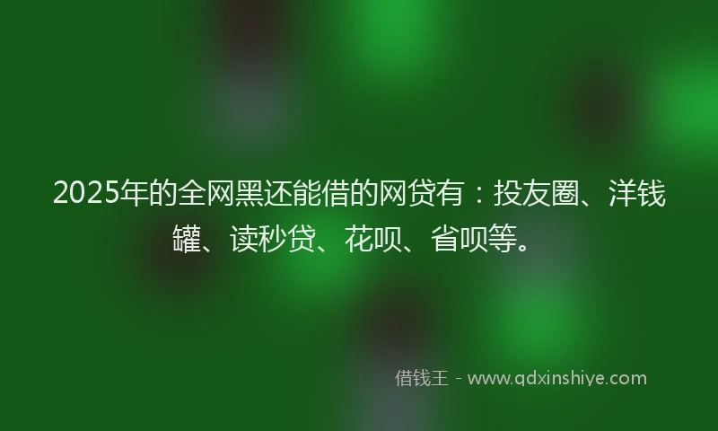 2025年的全网黑还能借的网贷有：投友圈、洋钱罐、读秒贷、花呗、省呗等。