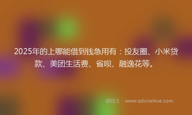 2025年的上哪能借到钱急用有：投友圈、小米贷款、美团生活费、省呗、融逸花等。