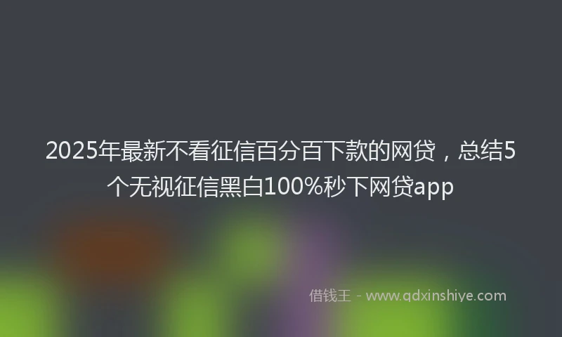 2025年最新不看征信百分百下款的网贷，总结5个无视征信黑白100%秒下网贷app