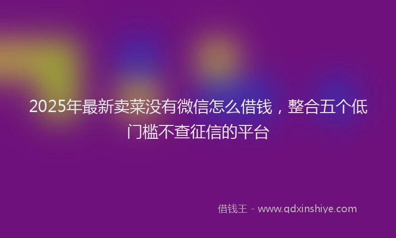 2025年最新卖菜没有微信怎么借钱，整合五个低门槛不查征信的平台