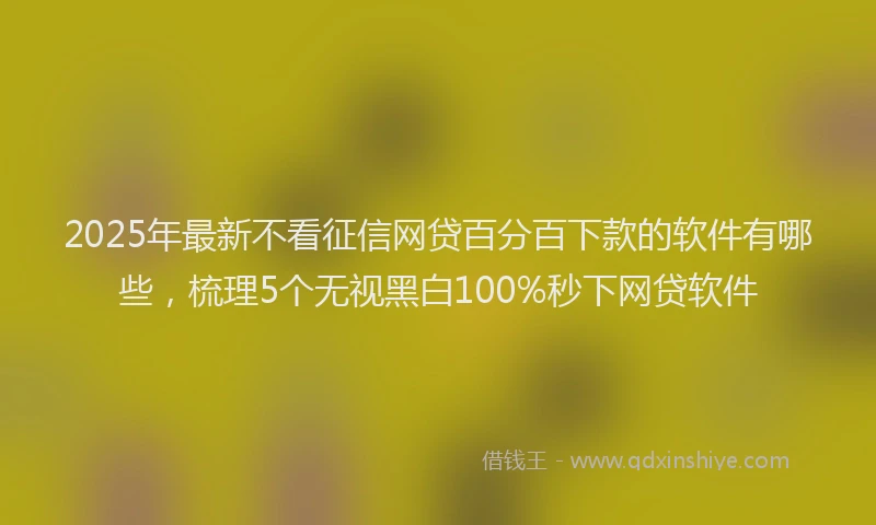 2025年最新不看征信网贷百分百下款的软件有哪些，梳理5个无视黑白100%秒下网贷软件