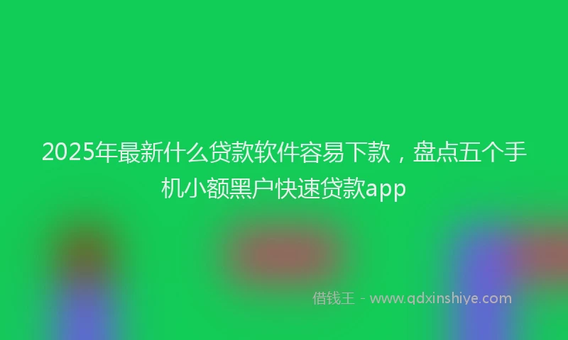 2025年最新什么贷款软件容易下款，盘点五个手机小额黑户快速贷款app