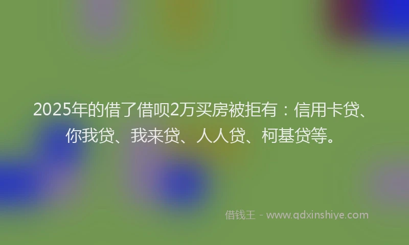 2025年的借了借呗2万买房被拒有：信用卡贷、你我贷、我来贷、人人贷、柯基贷等。
