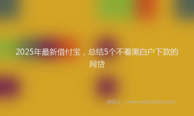 2025年最新借付宝，总结5个不看黑白户下款的网贷