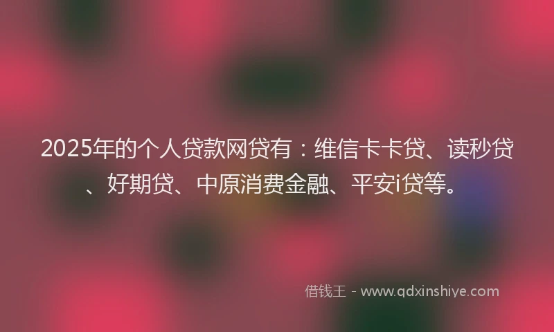 2025年的个人贷款网贷有：维信卡卡贷、读秒贷、好期贷、中原消费金融、平安i贷等。