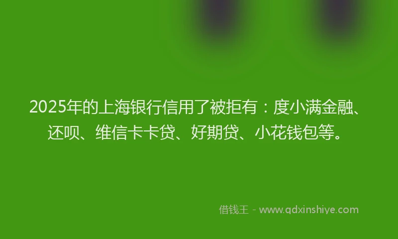 2025年的上海银行信用了被拒有：度小满金融、还呗、维信卡卡贷、好期贷、小花钱包等。