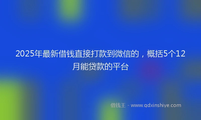 2025年最新借钱直接打款到微信的，概括5个12月能贷款的平台