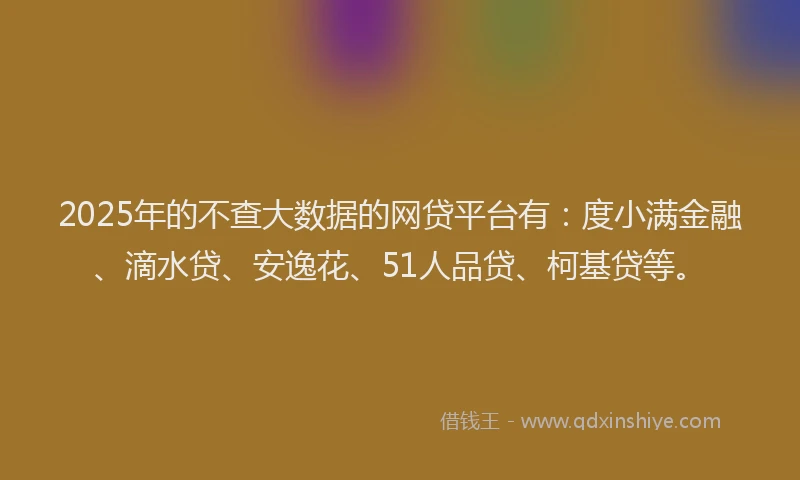 2025年的不查大数据的网贷平台有：度小满金融、滴水贷、安逸花、51人品贷、柯基贷等。