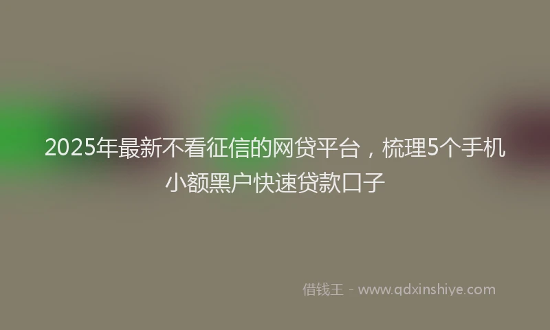 2025年最新不看征信的网贷平台，梳理5个手机小额黑户快速贷款口子