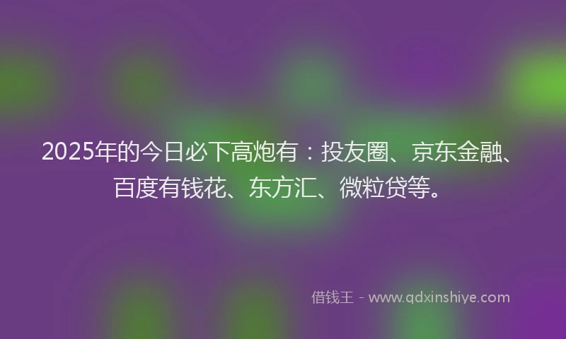 2025年的今日必下高炮有：投友圈、京东金融、百度有钱花、东方汇、微粒贷等。