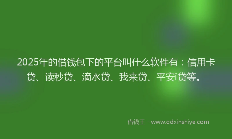 2025年的借钱包下的平台叫什么软件有：信用卡贷、读秒贷、滴水贷、我来贷、平安i贷等。