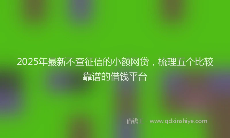 2025年最新不查征信的小额网贷，梳理五个比较靠谱的借钱平台