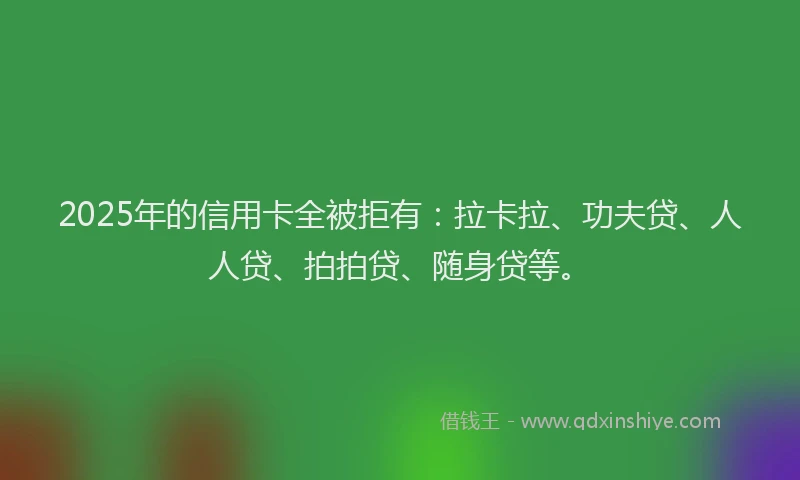 2025年的信用卡全被拒有：拉卡拉、功夫贷、人人贷、拍拍贷、随身贷等。
