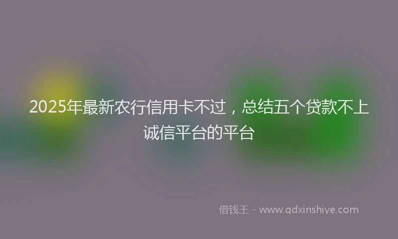 2025年最新农行信用卡不过，总结五个贷款不上诚信平台的平台