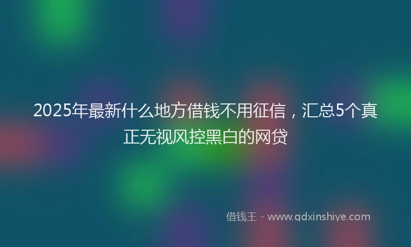 2025年最新什么地方借钱不用征信，汇总5个真正无视风控黑白的网贷