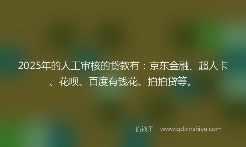 2025年的人工审核的贷款有：京东金融、超人卡、花呗、百度有钱花、拍拍贷等。