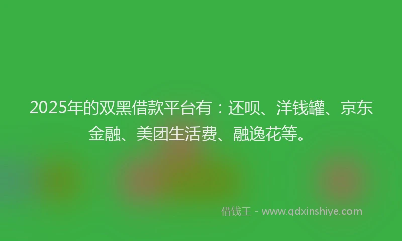 2025年的双黑借款平台有：还呗、洋钱罐、京东金融、美团生活费、融逸花等。