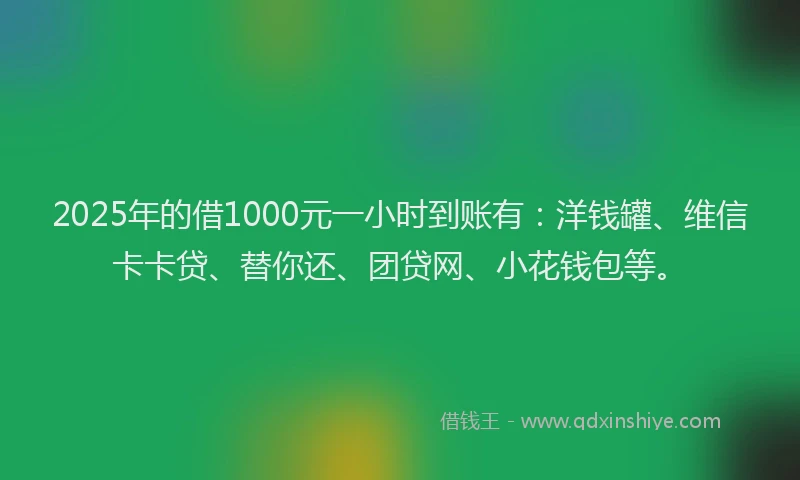 2025年的借1000元一小时到账有：洋钱罐、维信卡卡贷、替你还、团贷网、小花钱包等。