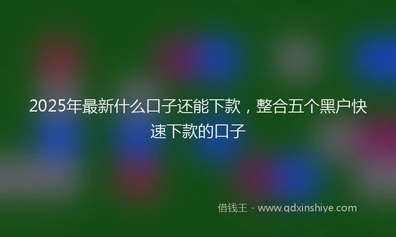 2025年最新什么口子还能下款，整合五个黑户快速下款的口子