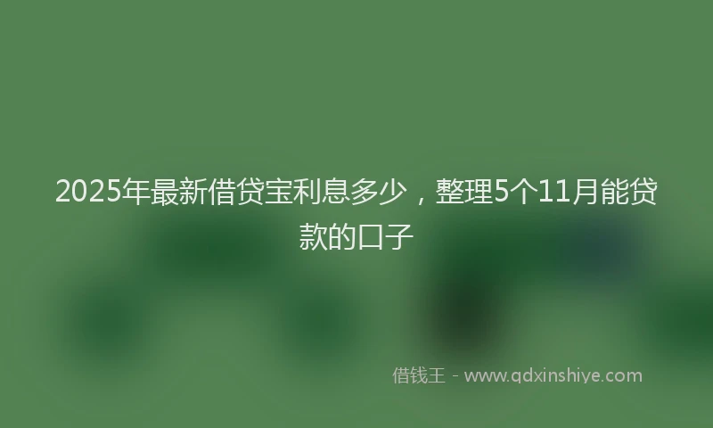 2025年最新借贷宝利息多少，整理5个11月能贷款的口子