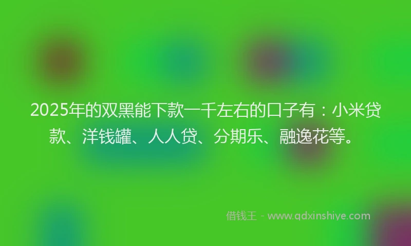 2025年的双黑能下款一千左右的口子有：小米贷款、洋钱罐、人人贷、分期乐、融逸花等。