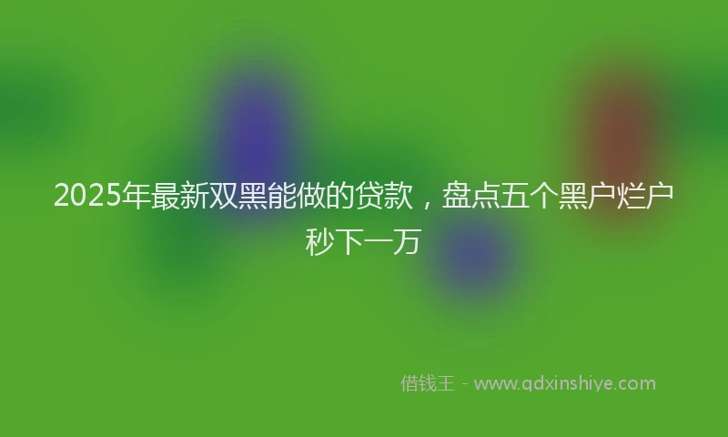 2025年最新双黑能做的贷款，盘点五个黑户烂户秒下一万