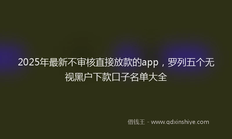 2025年最新不审核直接放款的app，罗列五个无视黑户下款口子名单大全