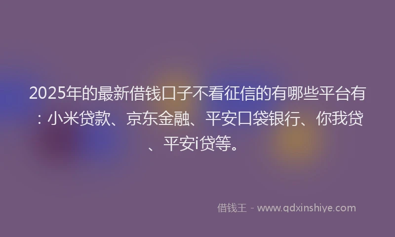 2025年的最新借钱口子不看征信的有哪些平台有：小米贷款、京东金融、平安口袋银行、你我贷、平安i贷等。