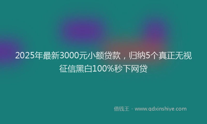 2025年最新3000元小额贷款，归纳5个真正无视征信黑白100%秒下网贷