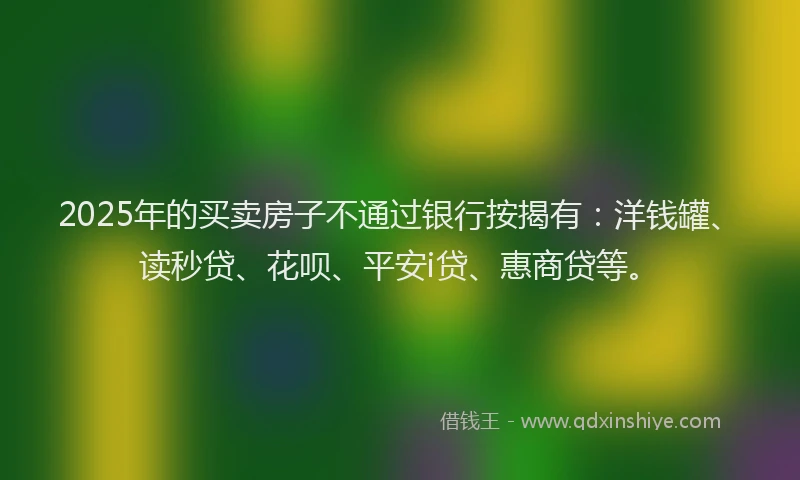 2025年的买卖房子不通过银行按揭有：洋钱罐、读秒贷、花呗、平安i贷、惠商贷等。