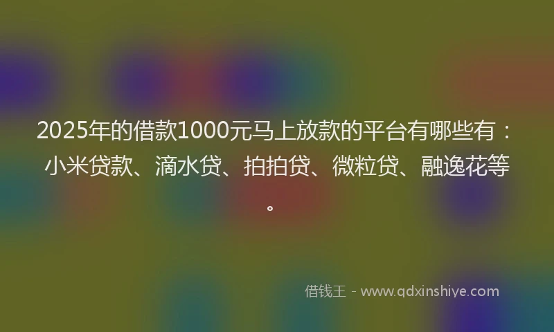 2025年的借款1000元马上放款的平台有哪些有：小米贷款、滴水贷、拍拍贷、微粒贷、融逸花等。