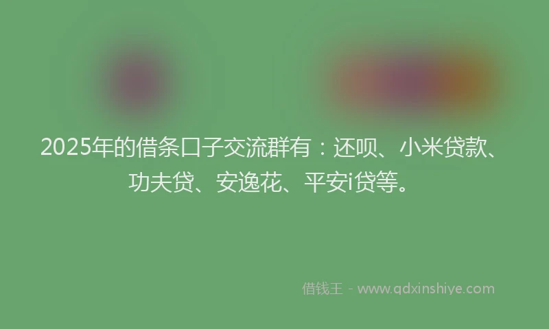 2025年的借条口子交流群有：还呗、小米贷款、功夫贷、安逸花、平安i贷等。