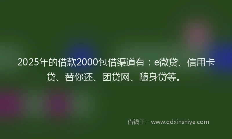 2025年的借款2000包借渠道有：e微贷、信用卡贷、替你还、团贷网、随身贷等。