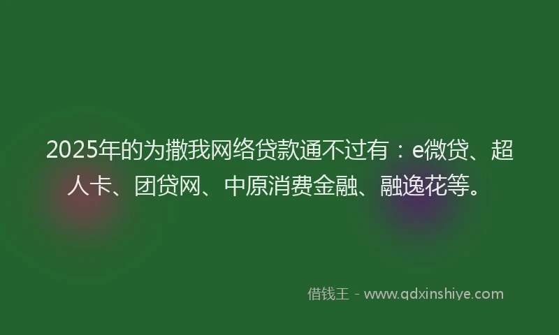 2025年的为撒我网络贷款通不过有：e微贷、超人卡、团贷网、中原消费金融、融逸花等。
