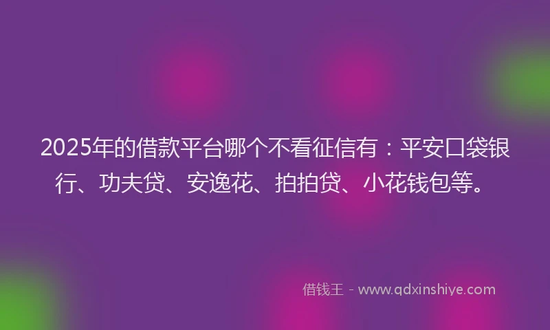 2025年的借款平台哪个不看征信有：平安口袋银行、功夫贷、安逸花、拍拍贷、小花钱包等。