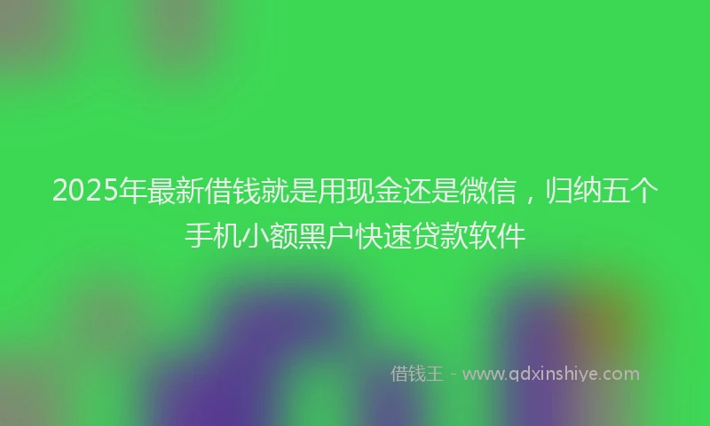 2025年最新借钱就是用现金还是微信，归纳五个手机小额黑户快速贷款软件