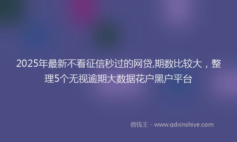 2025年最新不看征信秒过的网贷,期数比较大，整理5个无视逾期大数据花户黑户平台
