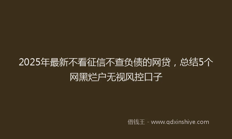 2025年最新不看征信不查负债的网贷，总结5个网黑烂户无视风控口子