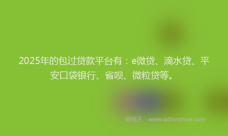 2025年的包过贷款平台有：e微贷、滴水贷、平安口袋银行、省呗、微粒贷等。