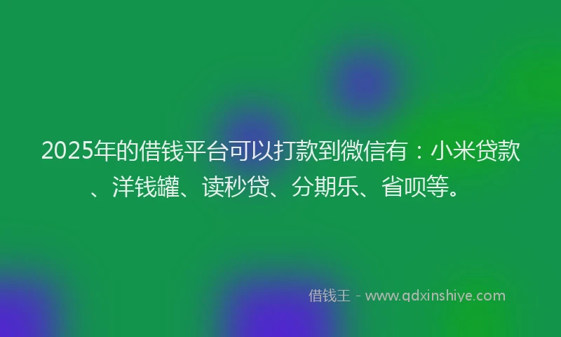 2025年的借钱平台可以打款到微信有：小米贷款、洋钱罐、读秒贷、分期乐、省呗等。